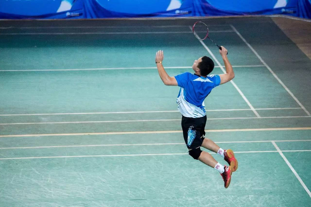 社会证明偏 社会证明偏